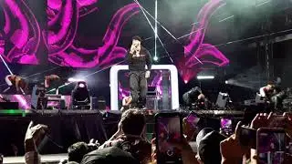 Anuel AA - Coca Cola Flow Fest 2019 PART. 1