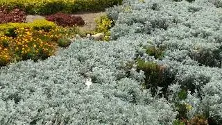 VID 20180728 151353717