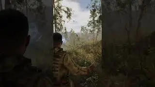 S.T.A.L.K.E.R. 2: Серце Чорнобиля - Реліз 05.09.2024