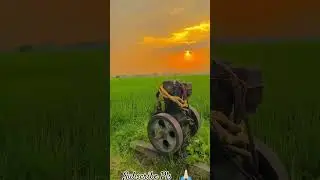 🔥शाम मे खेतो का अद्भुद नजरा🔥 #shorts #viral #trending