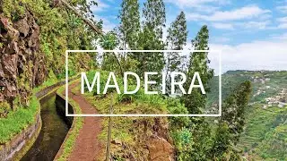 Urlaub auf Madeira - Mit Rhomberg Reisen