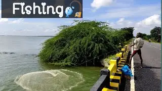 Fishing 🐠🐋🐟🎣   In pulicate Lake.