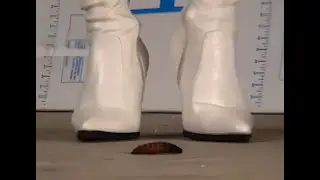 N80 Bug Crush Teaser - Two girls, White boots and Cockroaches