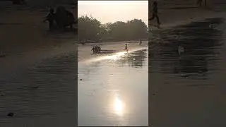 Indahnya Sunset Di Pantai Dalegan Gresik #shorts #pantai