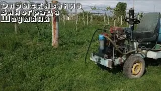 Опрыскивание винограда Шаумяни.
