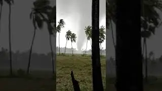 #michaungcyclone effect | Tornado in Saaripally near Narsapurm, AP