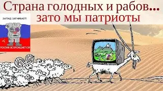 Новости из Тик-Тока #4 