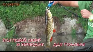 Плетеный шнур и поводок для ловли голавля. СВ-снасти