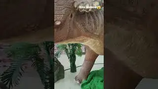 ДИНОЗАВР