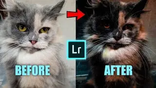 Tutorial Cara Edit Photo Black Orange Di Android - Lightroom CC Mobile