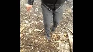 Чаво