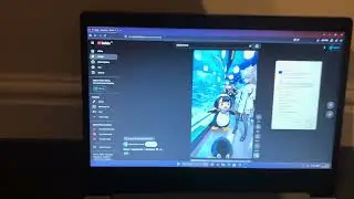 Gugu gaga penguin has BSOD