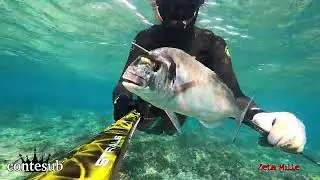 Pesca in Apnea - Varietà di Primavera con Stralis75 in Acqua Bassa