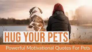 Motivational quotes for Pets