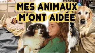 J'ai eu un gros problème.