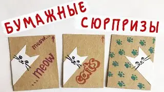 Бумажные сюрпризы / Породы кошек 🐱🐱🐱