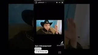 Девушка Папича