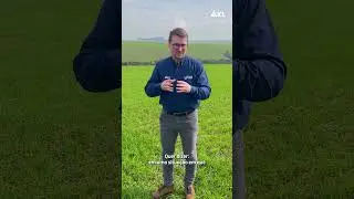 Mitigação dos Efeitos de Geada nas Plantas de Trigo #geada #trigo #agricultura