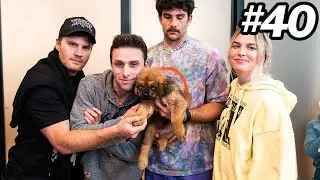 Hasanabi's A Dog Dad, Austin Runs A Train On The Yard, QTCinderella Hates Us & More | Fear&Kaya