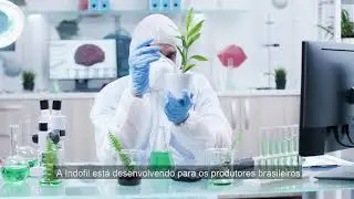 Institucional | Indofill