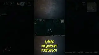 и снова дерево! #shorts