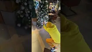Идея для съёмки ёлки🎄 Сохрани и попробуй💛 А кто уже поставил Ёлочку??)