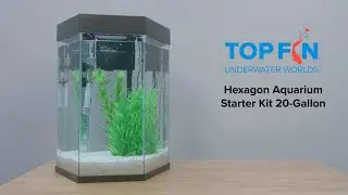 Top Fin Hexagon 