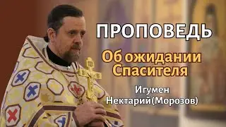Об ожидании Спасителя