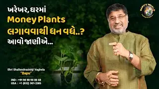 ખરેખર, ઘરમાં Money Plants લગાવવાથી ધન વધે…? આવો જાણીએ… | Shri Shailendrasinhji Vaghela | Bapu