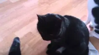 yum,dun,heh.mp4