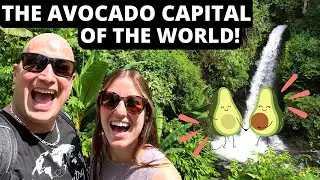 URUAPAN Michoacán MEXICO (BEST THINGS TO DO)