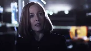 Mulder & Scully || Counting Paths [+S11]
