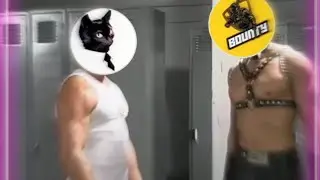 Будни качков