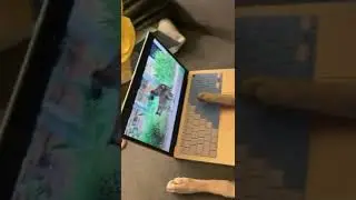Собачье порно