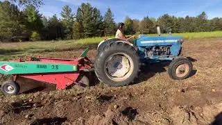 Carlotti Potato Harvester in action