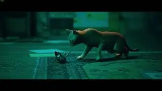 Playing Stray - 5 | The Flat - Meeting B12