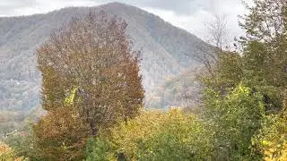 Осень в Сочи