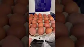 Фермерский рынок в Торревьехе Испания часть 1