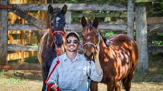 Day 10 Training A Now RESPECTFUL Pony! | Foal Training [EP19]