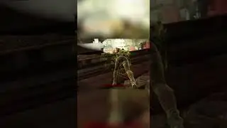 Predator hunting raiders