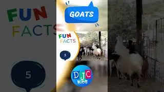 Giggle with DJC Kid! 🐐 5 Hilarious Goat Facts | Kid's Learning Adventure!