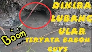 MANCING BELUT BABON || DI KIRA LUBANG ULAR || TERNYATA ISINYA......?