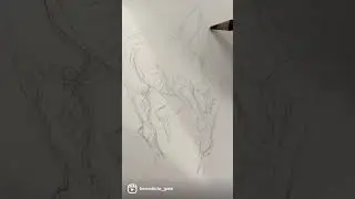 Quick Graphite Pencil Drawing of a Horse