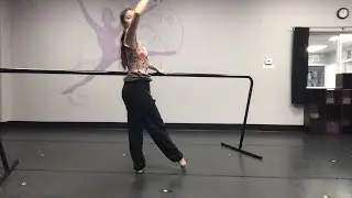 Ballet barre w/ Olivia @loveismyfavoritecolor