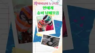 어머님이 누구니? 연예계 슈퍼 남매모음.zip #현실남매 #악뮤 #휴닝카이 #휴닝바히에