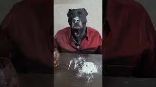 dogface Tony Montano 