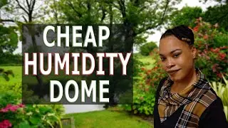 This Humidity Dome Works