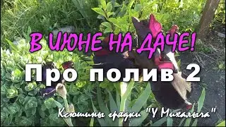 ИЮНЬ НА ДАЧЕ.   Про полив 2.