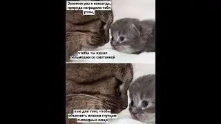 Московская биржа. Как движется цена актива.