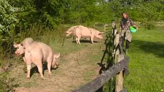 NaturNah: Im Land der Tiere